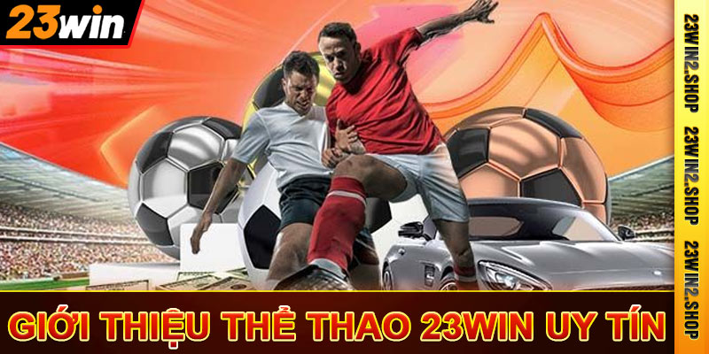 Thể Thao 23win - Trang Cá Độ Thể Thao Trực Tuyến 2025